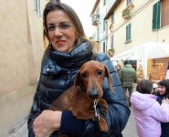 festas-antonio-47